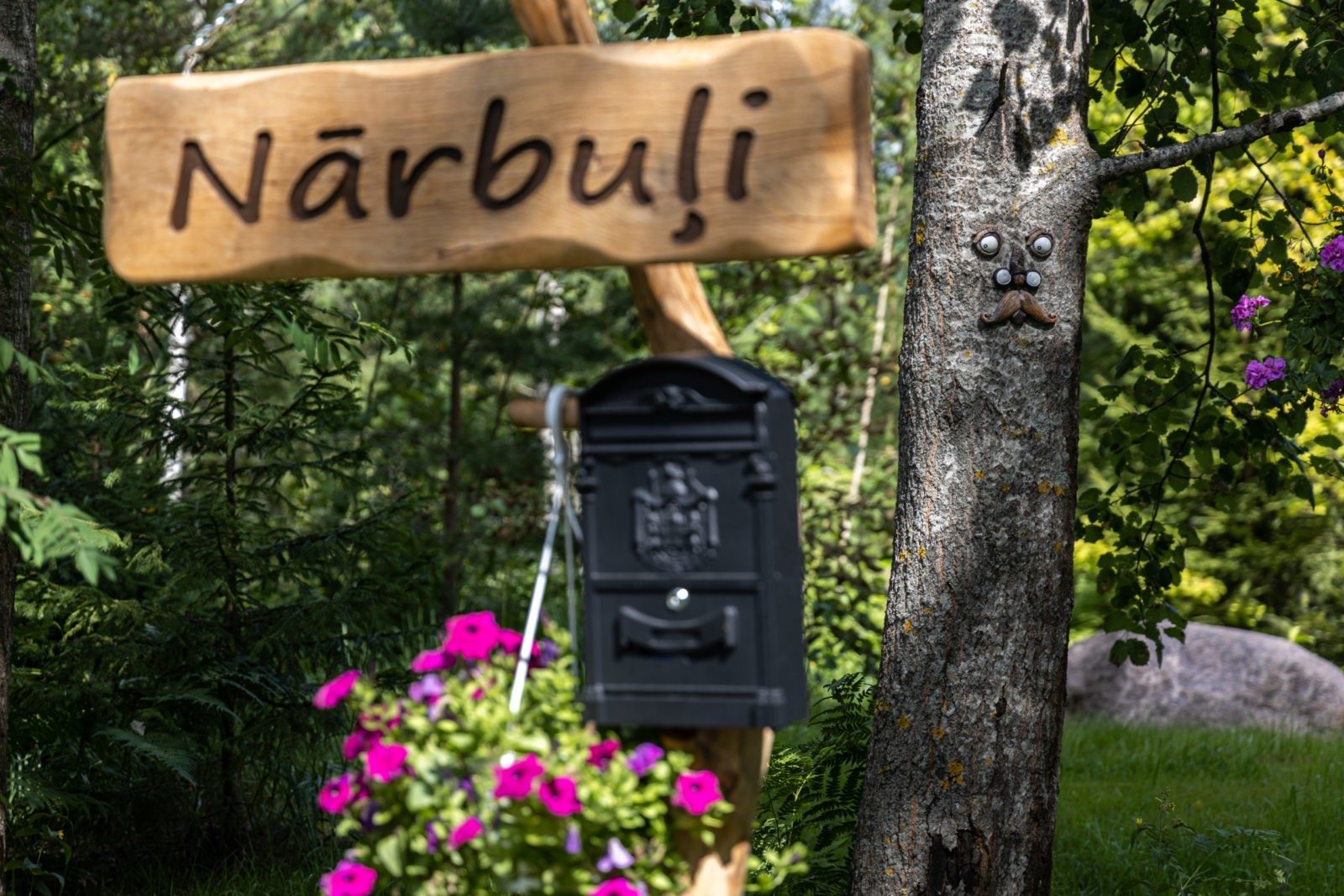 Nature walk at retreat — forest bathing